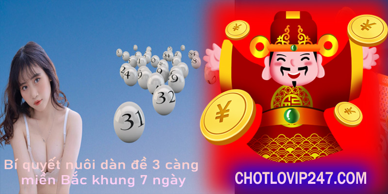 Bí quyết nuôi dàn đề 3 càng miền Bắc khung 7 ngày