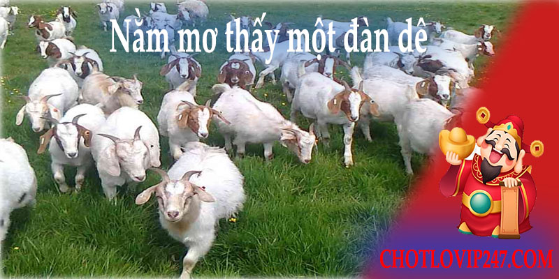 Nằm mơ thấy một đàn dê