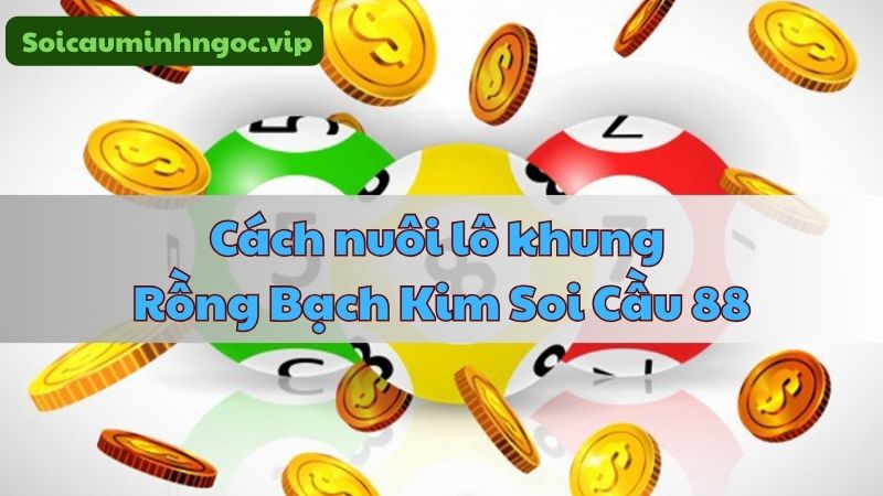 Áp dụng quy trình nuôi lô khung an toàn hơn khi chơi