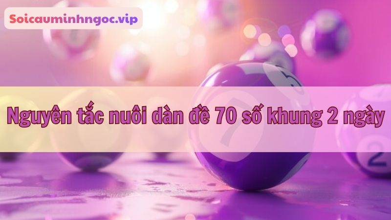 Nguyên tắc quan trọng giúp bạn tối ưu chiến thuật nuôi