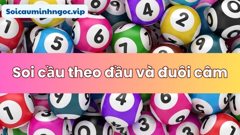 Áp dụng soi đầu câm, đuôi câm