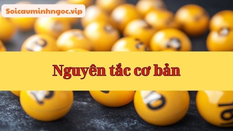 Những nguyên tắc cơ bản cần nắm
