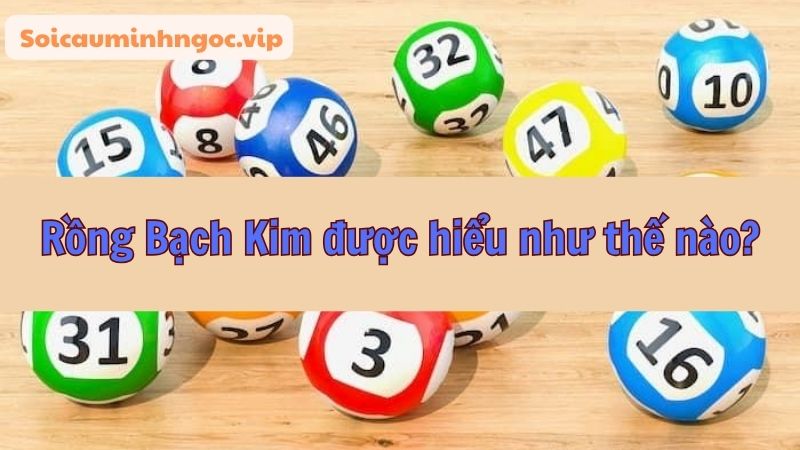 Tìm hiểu về khái niệm Rồng Bạch Kim