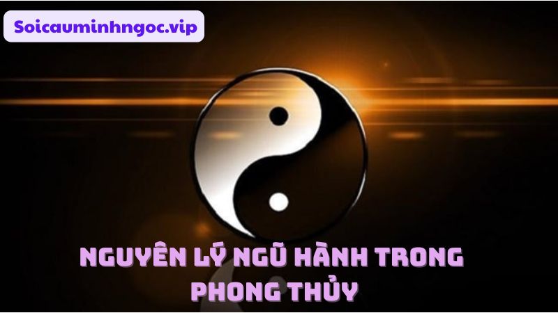 Nguyên lý ngũ hành trong phong thủy rất quan trọng