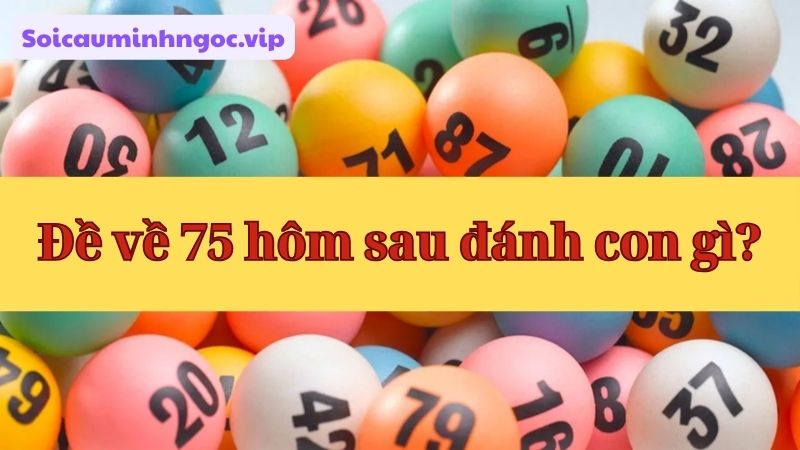 Con đề 75 có xu hướng kéo về những con chẵn